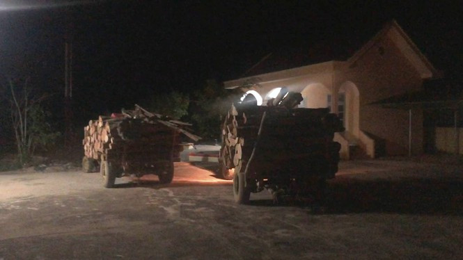 Xem xét kỷ luật Giám đốc công ty lâm nghiệp vì để mất rừng ảnh 1