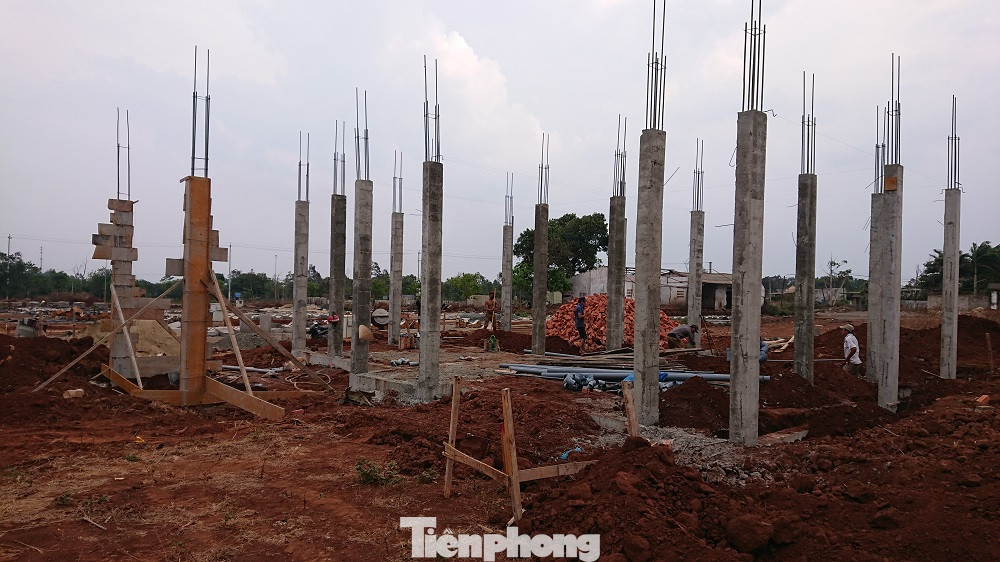 Đề nghị làm rõ vụ 'Hàng loạt biệt thự xây dựng trên đất nông nghiệp' ảnh 2