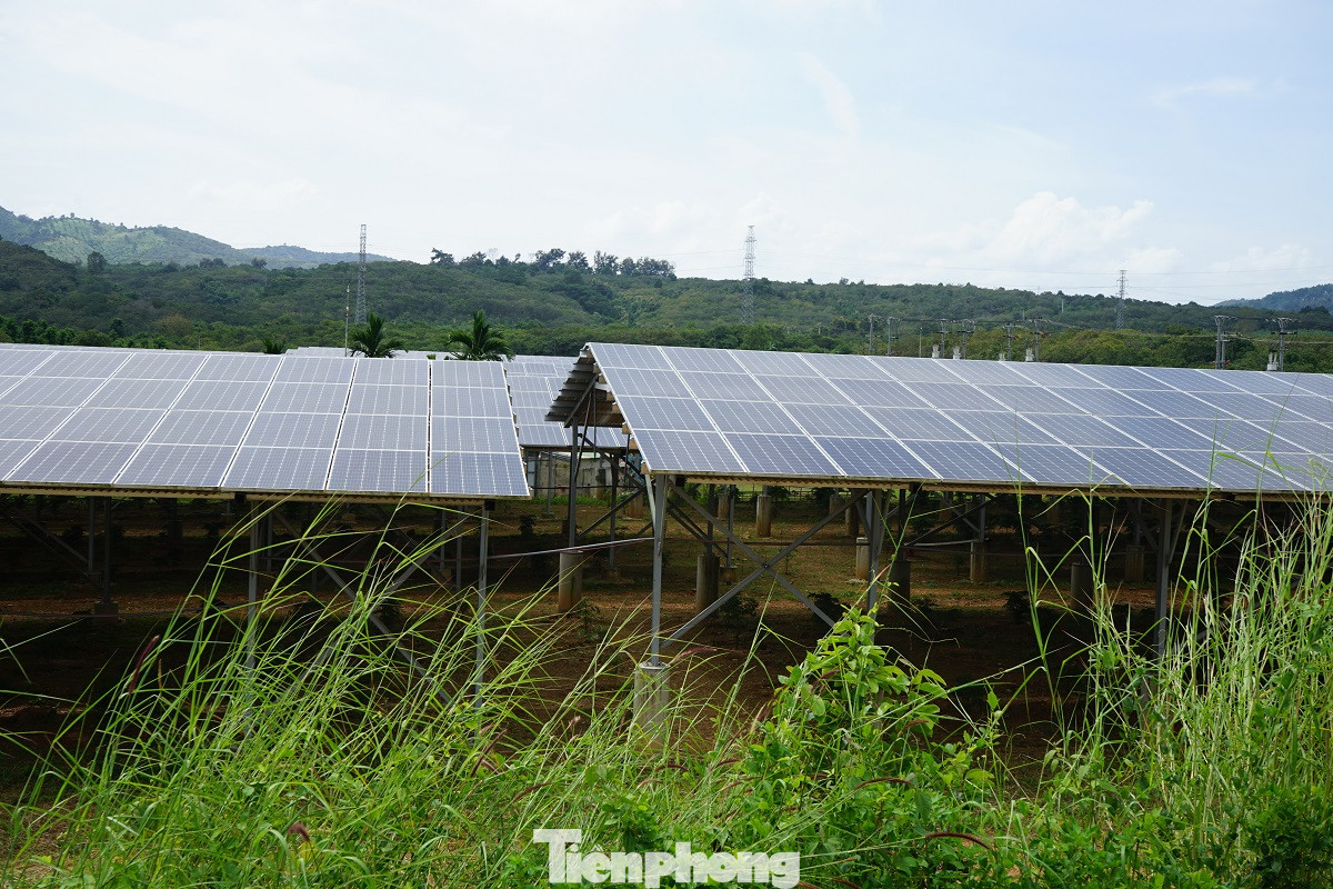 Điện mặt trời 'bát nháo' Buôn Ma Thuột: Trách nhiệm của Cty điện lực ở đâu? ảnh 10