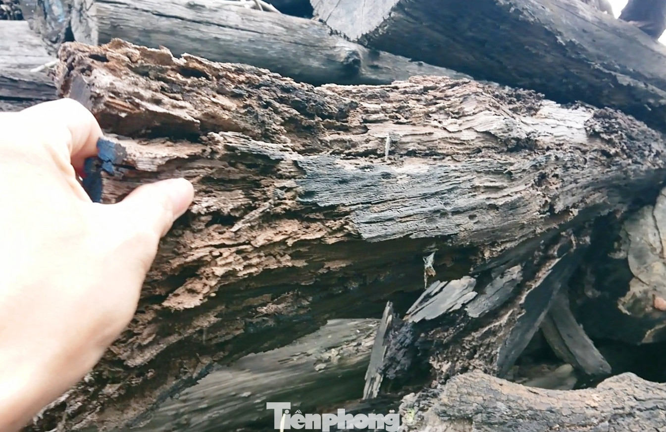 Cả nghìn m3 gỗ trục vớt rồi để mục nát, ai xót tài sản công? ảnh 3