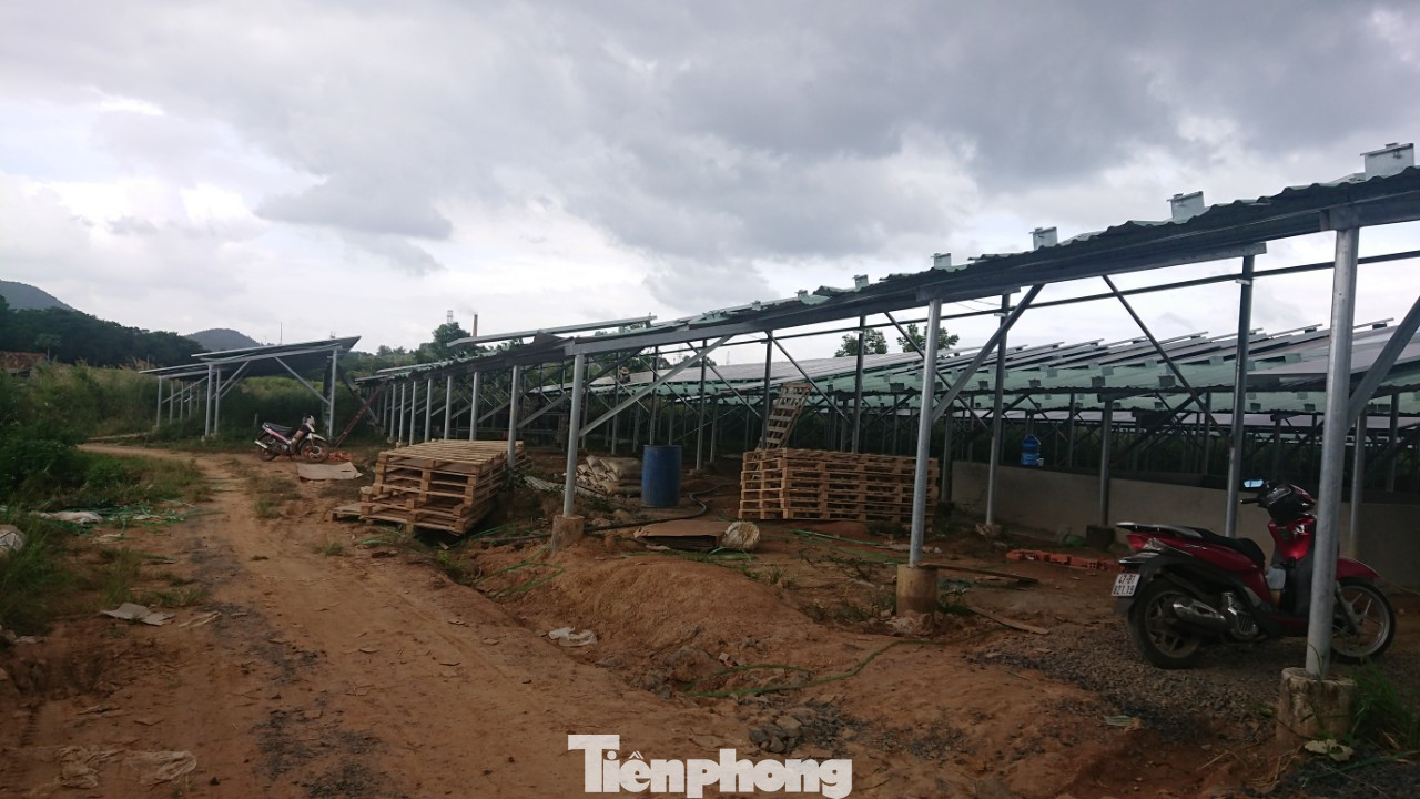 Điện mặt trời 'bát nháo' Buôn Ma Thuột: Trách nhiệm của Cty điện lực ở đâu? ảnh 6