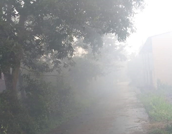 'Ngạt thở' vì cơ sở chế biến cà phê đặt giữa khu dân cư ảnh 1