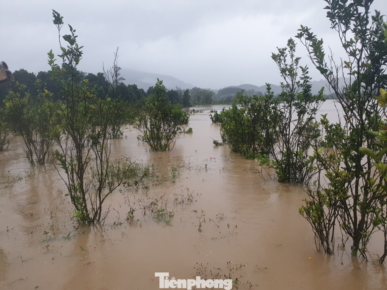 Đắk Lắk: Khẩn trương di dời hàng trăm hộ dân trong đêm ảnh 3
