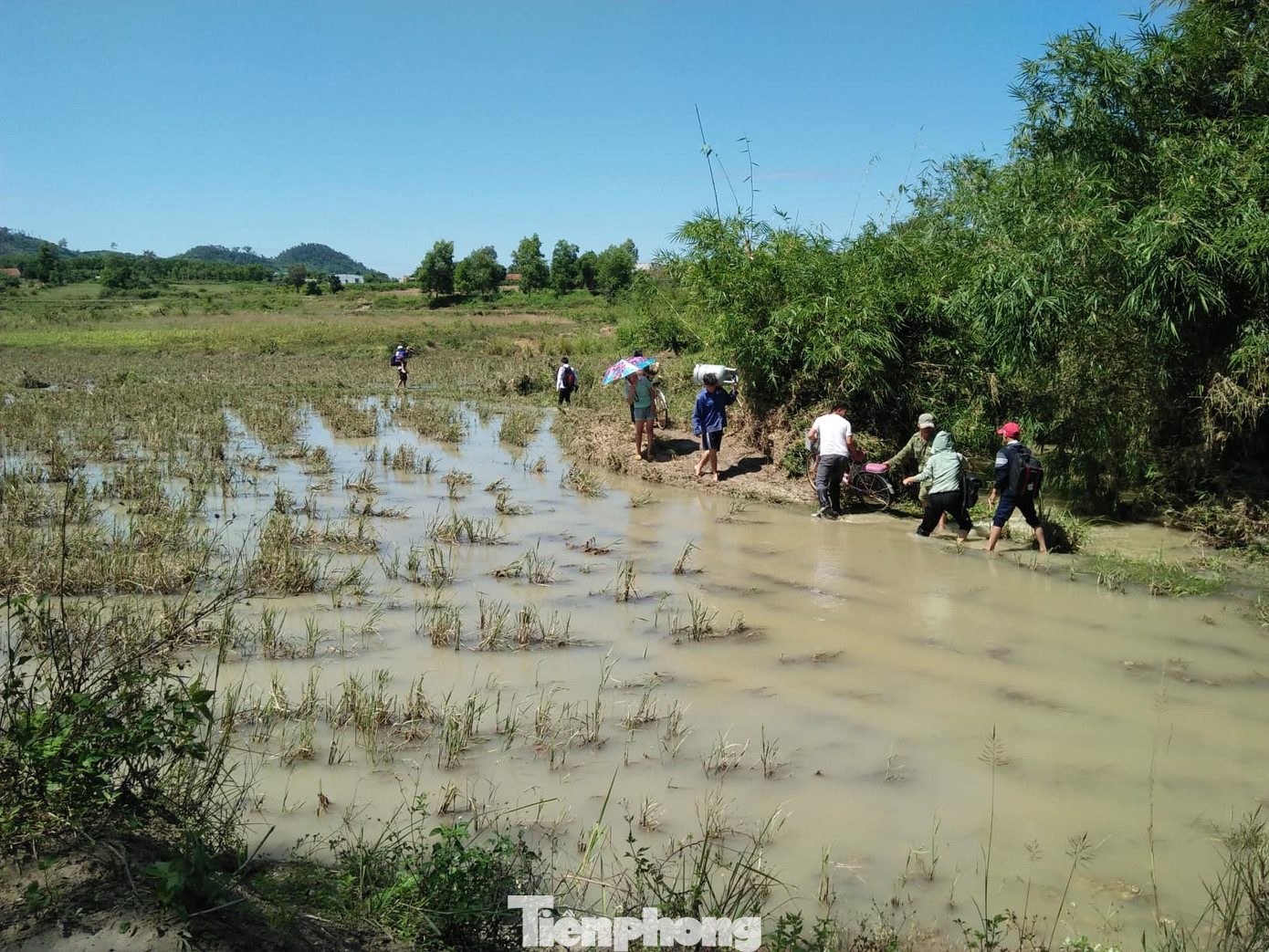 Hậu bão số 6: Người Đắk Lắk 'buốt ruột' khi tài sản, hoa màu mất trắng ảnh 8