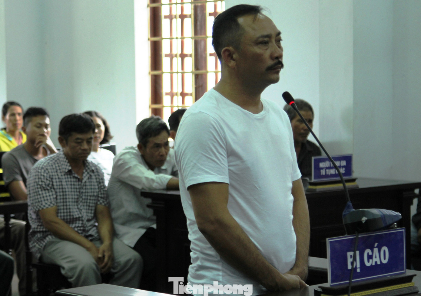 Vụ nhận gỗ lậu, liên tiếp được tặng 'chiến sĩ thi đua': Yêu cầu kiểm tra làm rõ ảnh 3