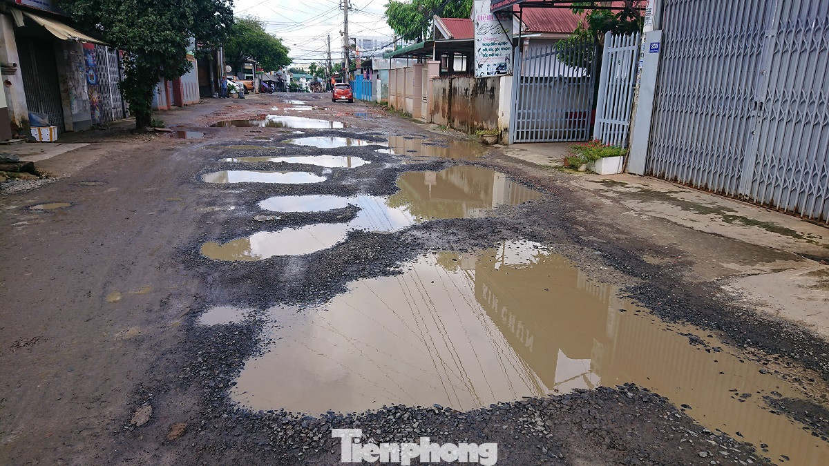 Đánh cược mạng sống trên những con đường dày đặc ‘ổ voi’ ảnh 4