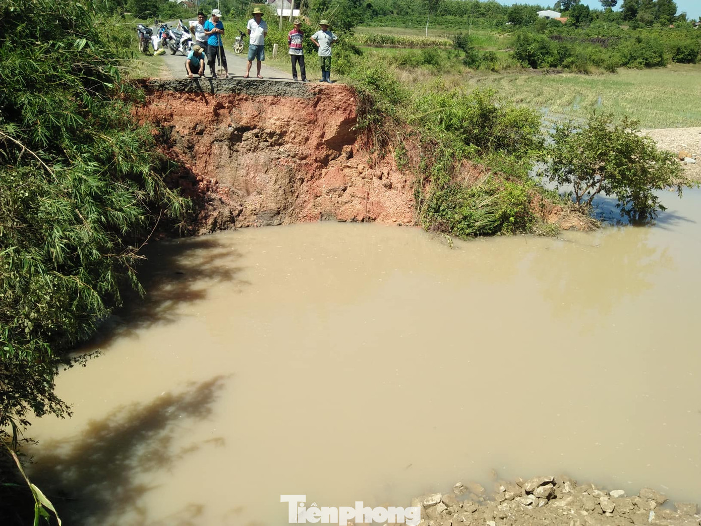 Hậu bão số 6: Người Đắk Lắk 'buốt ruột' khi tài sản, hoa màu mất trắng ảnh 5