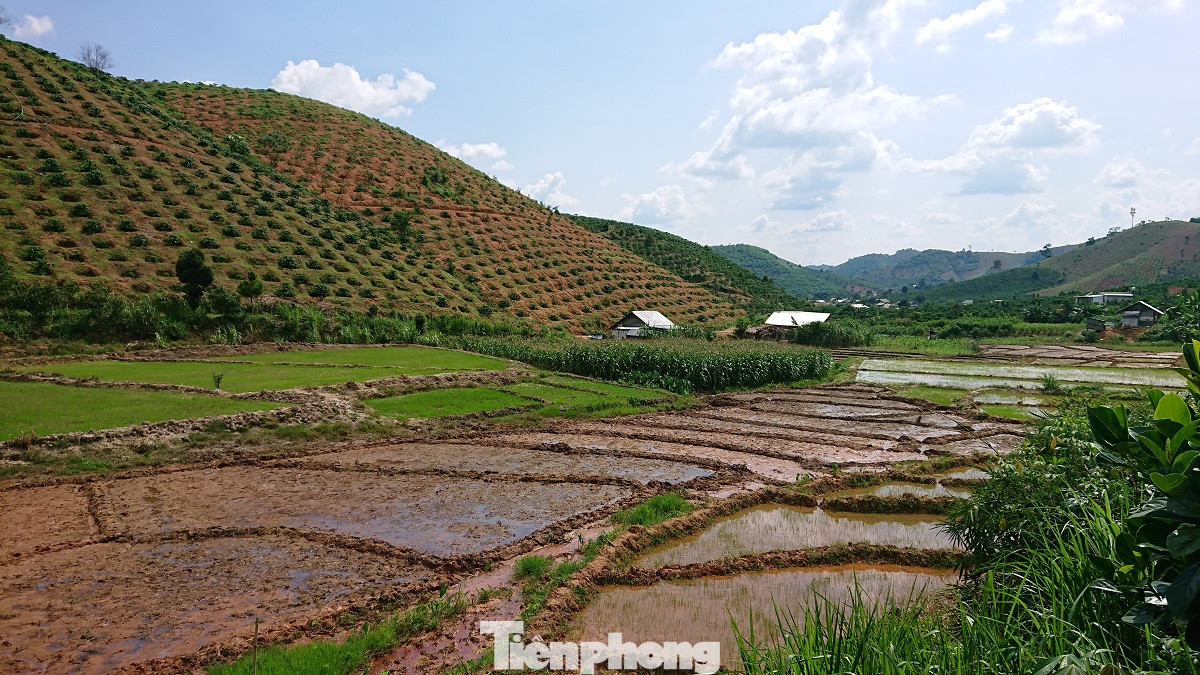 Đắk Nông: Cận cảnh những giấy cam kết không tiêm chủng 'rất lạ' ảnh 5