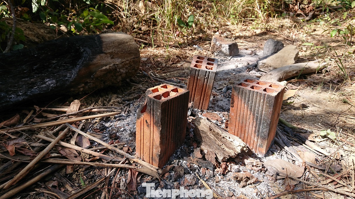 Tàn phá rừng phòng hộ đúng dịp Tết Nguyên đán ảnh 8