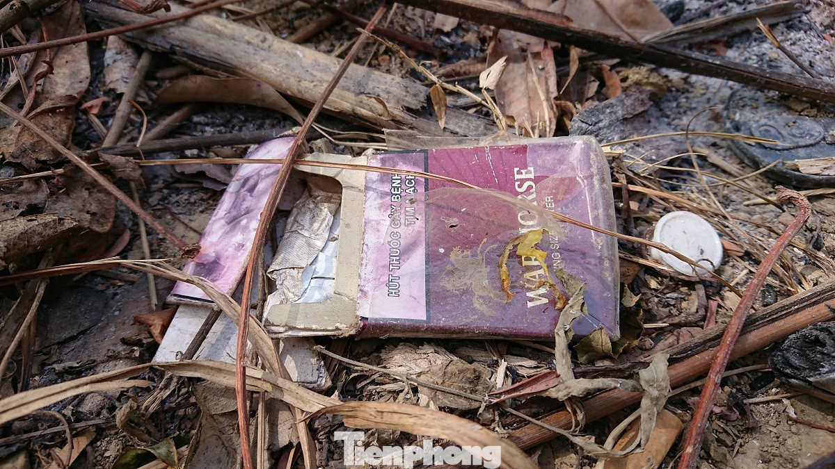 Tàn phá rừng phòng hộ đúng dịp Tết Nguyên đán ảnh 10