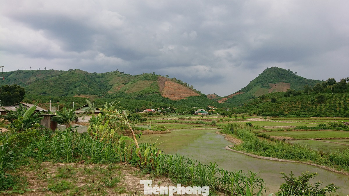 Đắk Nông: Cận cảnh những giấy cam kết không tiêm chủng 'rất lạ' ảnh 7