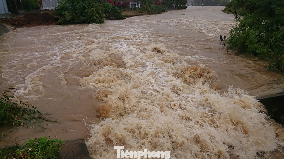 Hậu bão số 6: Người Đắk Lắk 'buốt ruột' khi tài sản, hoa màu mất trắng ảnh 9