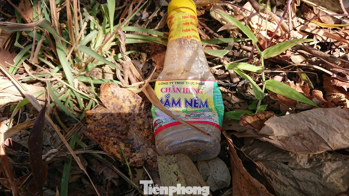 Tàn phá rừng phòng hộ đúng dịp Tết Nguyên đán ảnh 12