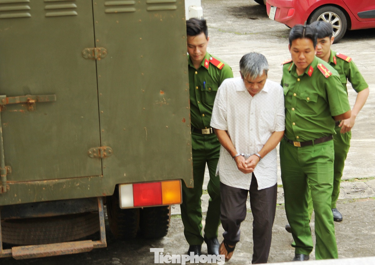 Trùm gỗ lậu Phượng 'râu' lĩnh 102 tháng tù giam ảnh 3