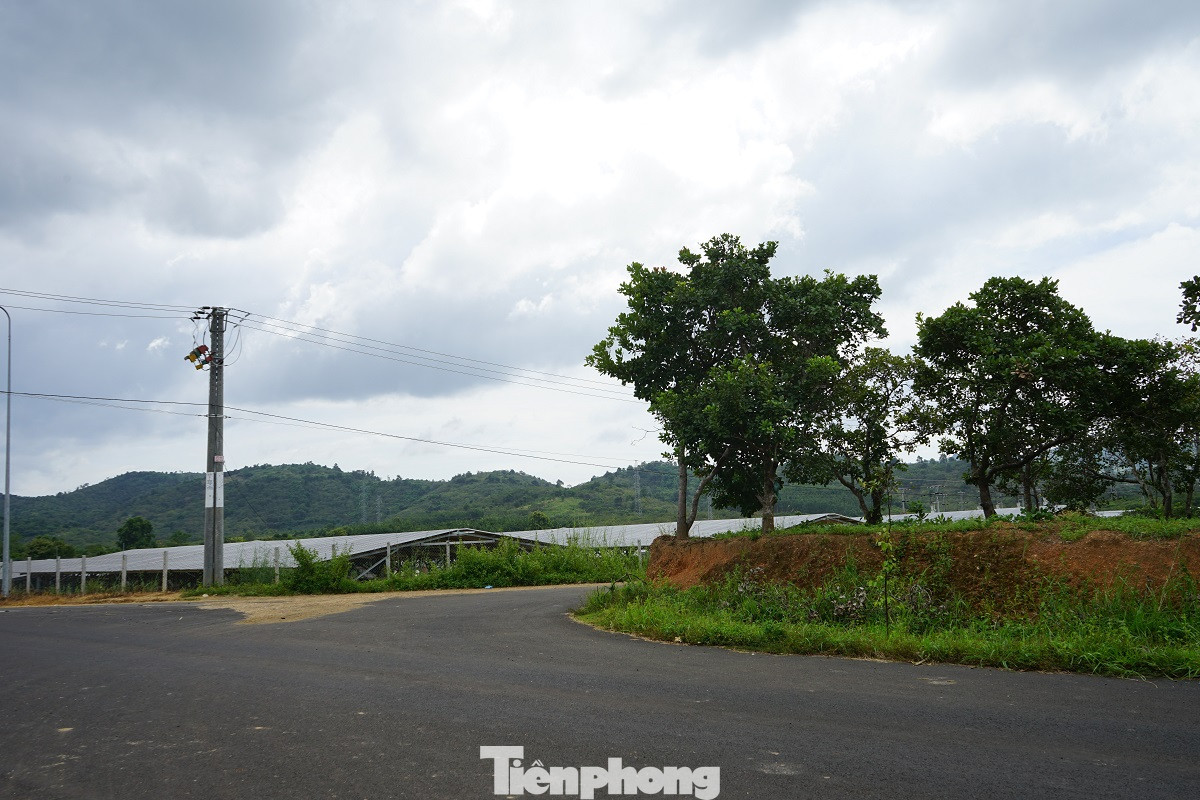 Điện mặt trời 'bát nháo' Buôn Ma Thuột: Trách nhiệm của Cty điện lực ở đâu? ảnh 7