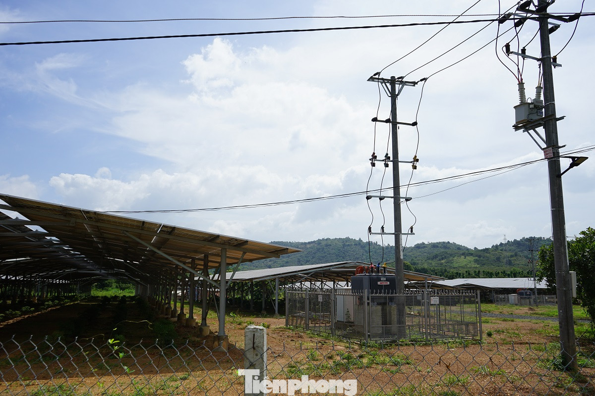 Điện mặt trời 'bát nháo' Buôn Ma Thuột: Trách nhiệm của Cty điện lực ở đâu? ảnh 2