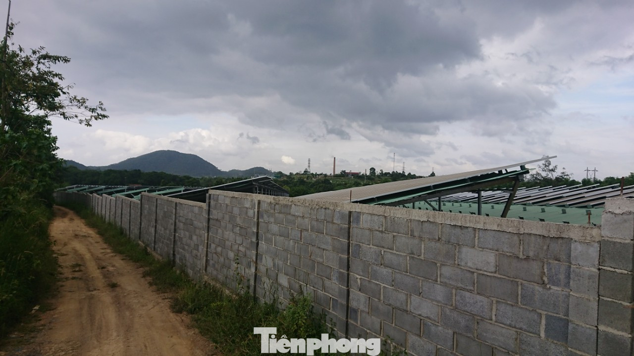 Điện mặt trời 'bát nháo' Buôn Ma Thuột: Trách nhiệm của Cty điện lực ở đâu? ảnh 3