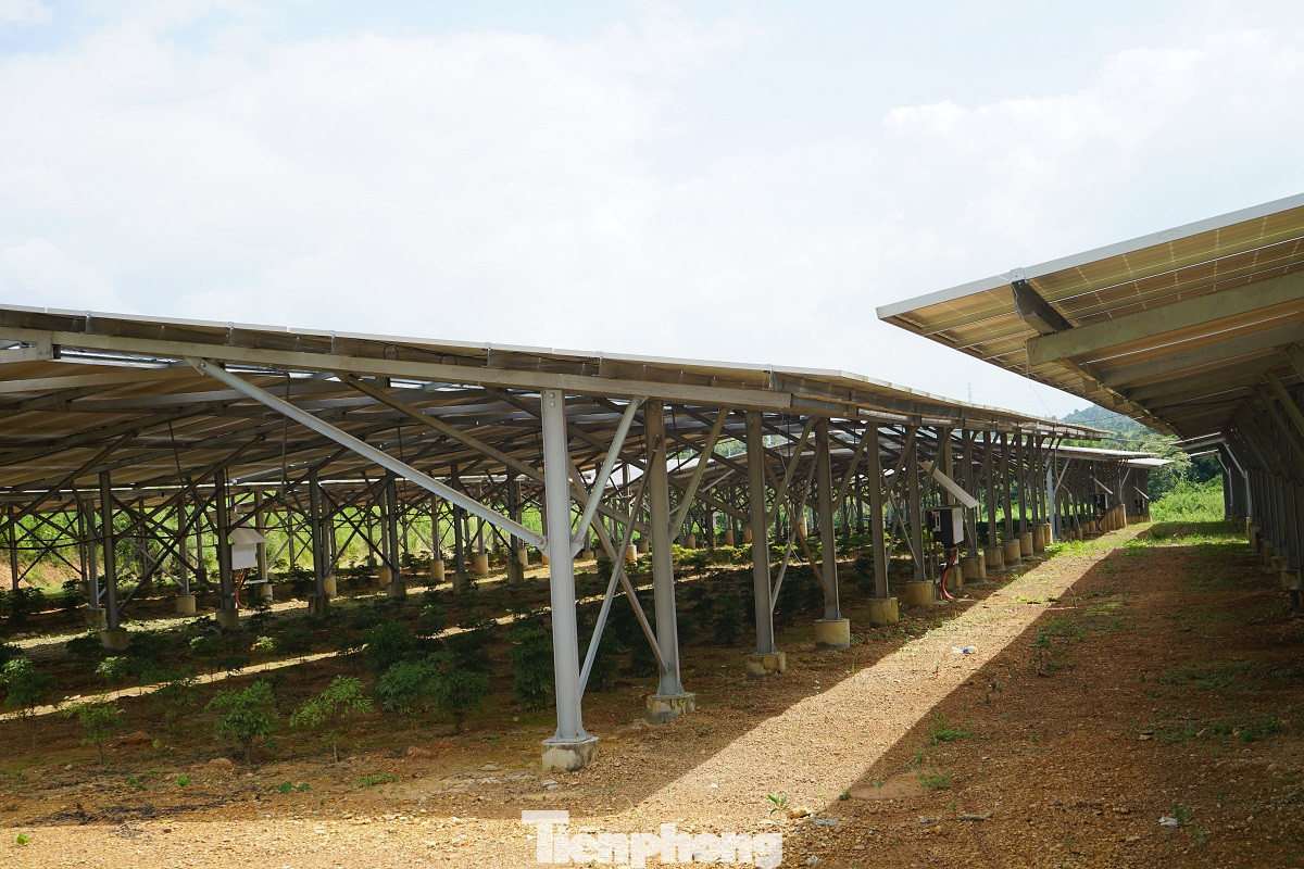 Điện mặt trời 'bát nháo' Buôn Ma Thuột: Trách nhiệm của Cty điện lực ở đâu? ảnh 1