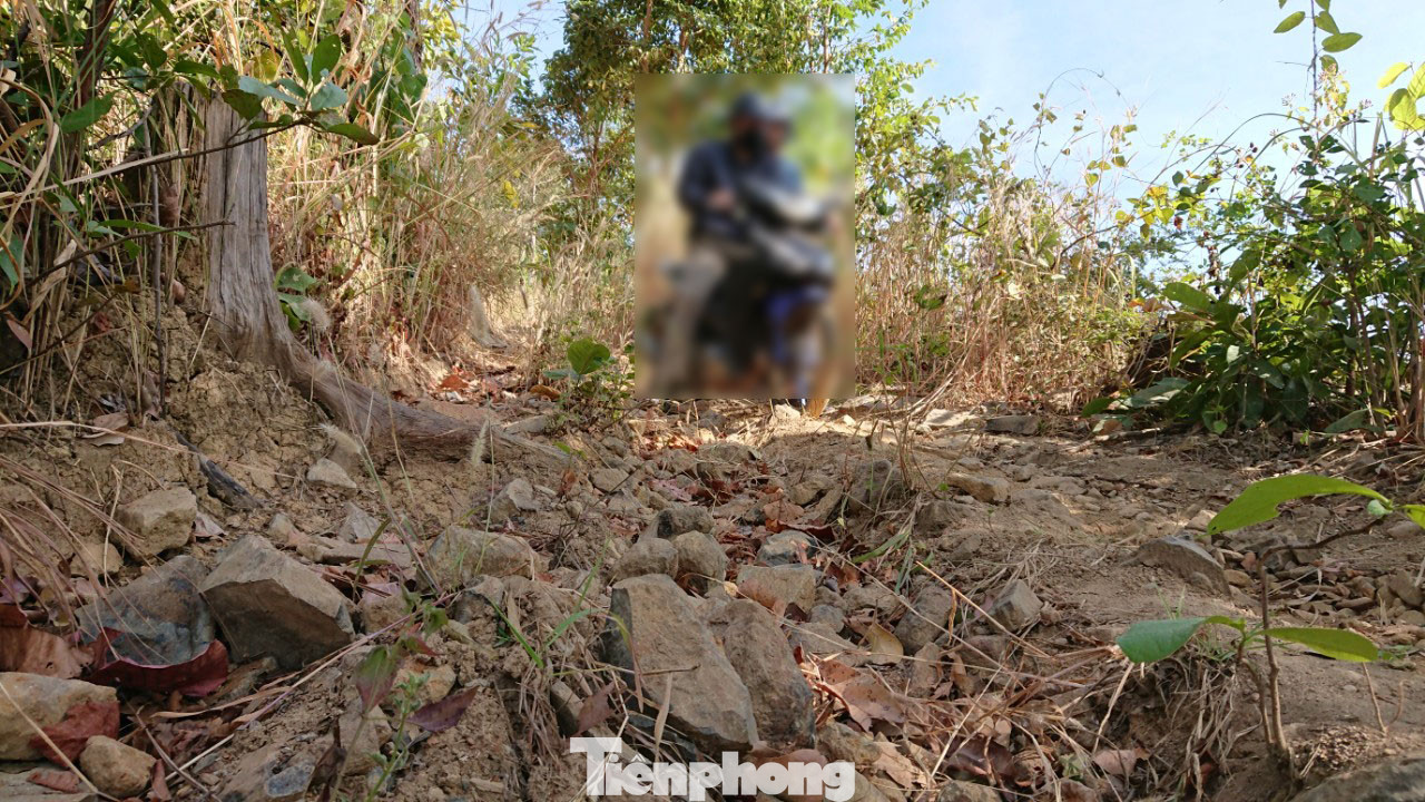 Tàn phá rừng phòng hộ đúng dịp Tết Nguyên đán ảnh 7