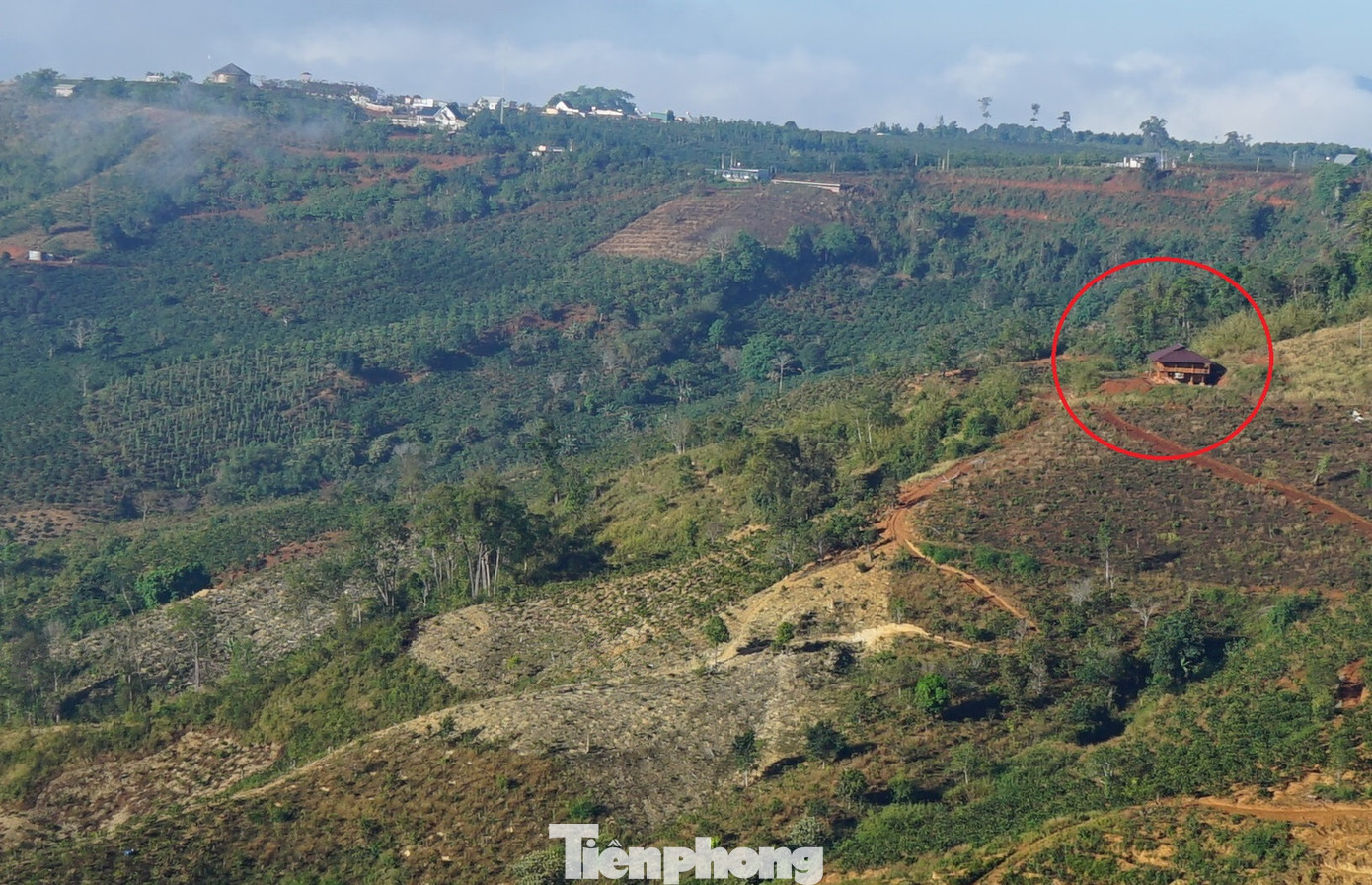 Những nhát chém bức hại 'vịnh Hạ Long trên núi' ảnh 17