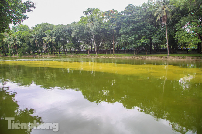 Mặt hồ Bách Thảo bất ngờ đổi màu lạ ảnh 4