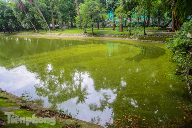 Mặt hồ Bách Thảo bất ngờ đổi màu lạ ảnh 3