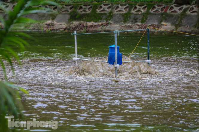 Mặt hồ Bách Thảo bất ngờ đổi màu lạ ảnh 5