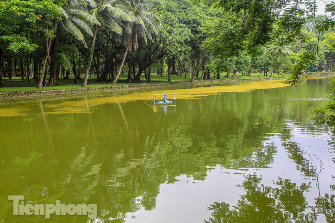 Mặt hồ Bách Thảo bất ngờ đổi màu lạ ảnh 1