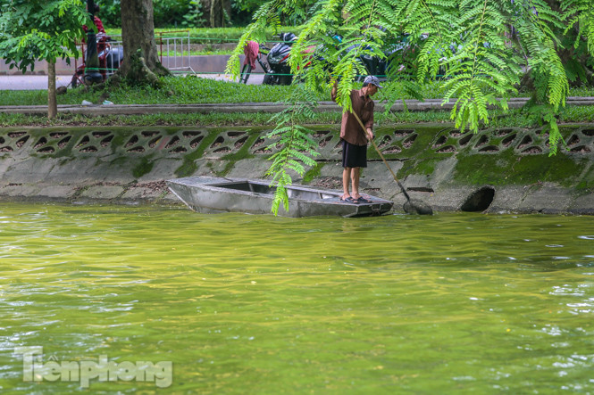 Mặt hồ Bách Thảo bất ngờ đổi màu lạ ảnh 6