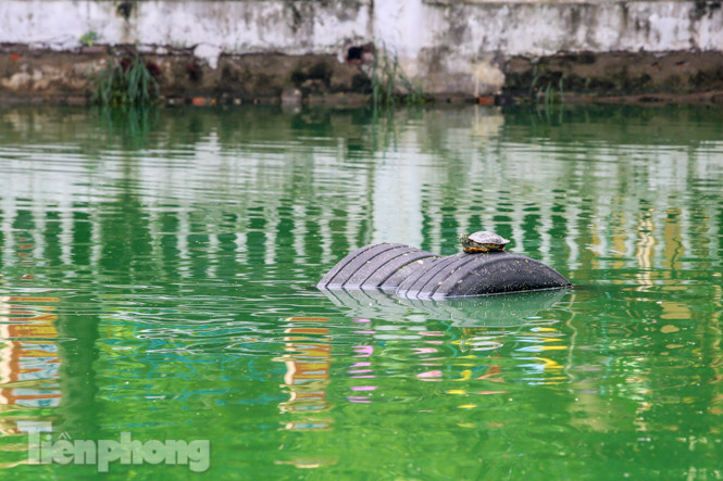 Cận cảnh di tích chứa mảnh xác B52 chuẩn bị tu bổ, cải tạo ảnh 4