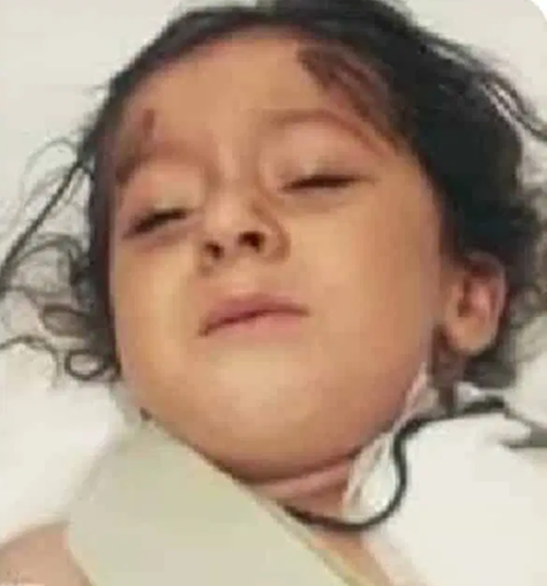 Bé gái 8 tuổi bị đánh chết vì lỡ để vẹt sổ lồng: Chẳng phải mọi mạng sống đều giá trị sao? ảnh 1