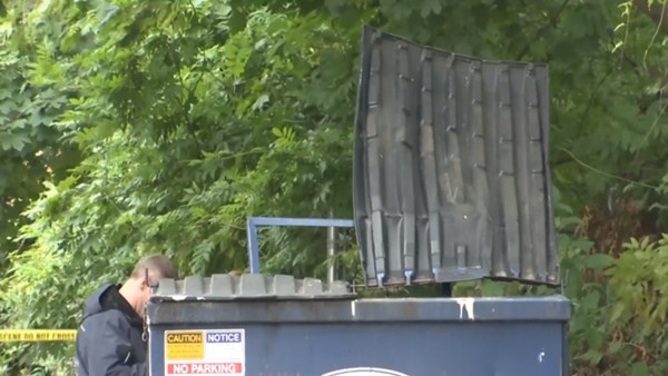 Người giúp việc cãi cọ, đuổi đánh chủ, vứt luôn con gái 8 tháng tuổi của chủ vào thùng rác ảnh 2