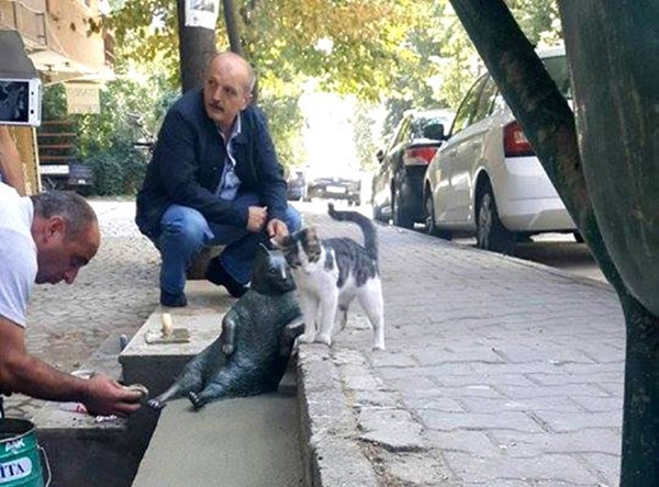 Lý do khiến chú mèo hoang trở nên nổi tiếng và được dựng hẳn tượng đồng giữa thành phố ảnh 3