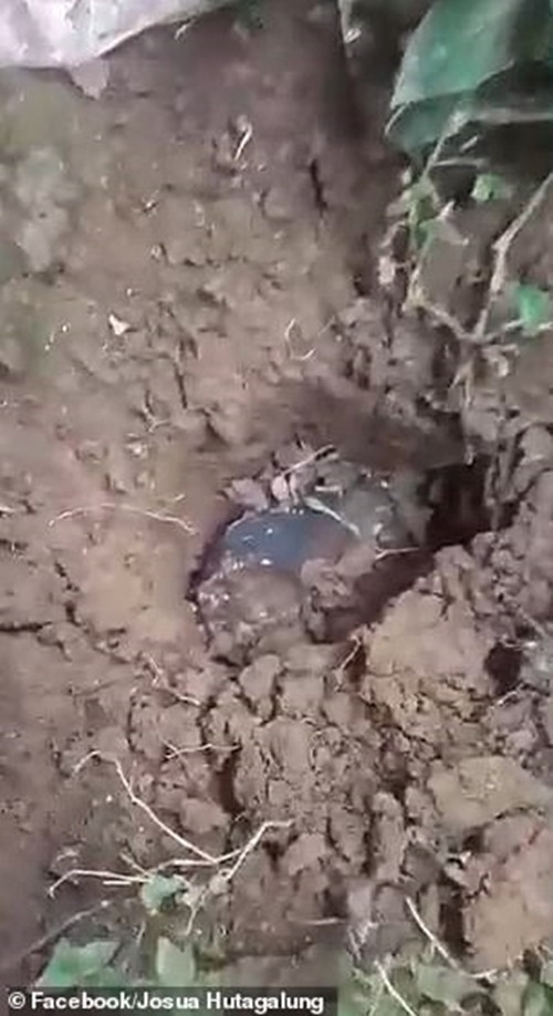 Bỗng trở thành triệu phú USD nhờ “của trời cho”, cái giá phải trả chỉ là hư tí xíu mái nhà ảnh 2