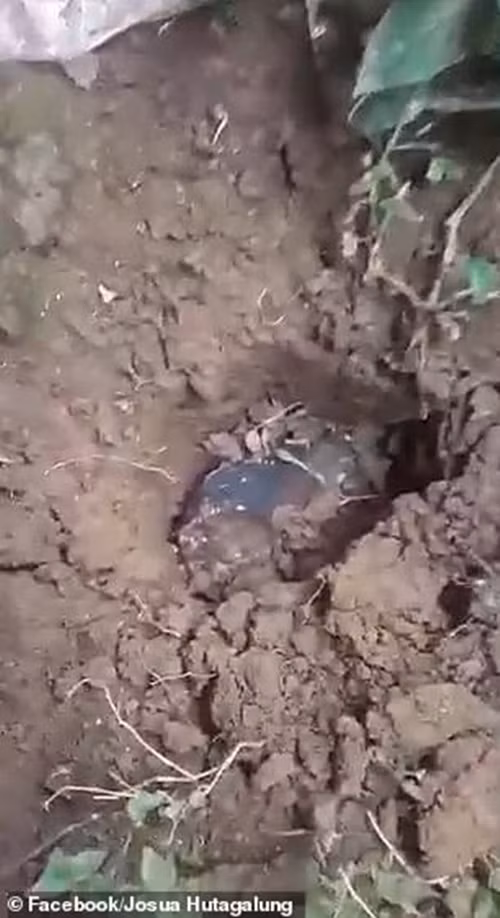 Bỗng trở thành triệu phú USD nhờ “của trời cho”, cái giá phải trả chỉ là hư tí xíu mái nhà ảnh 2