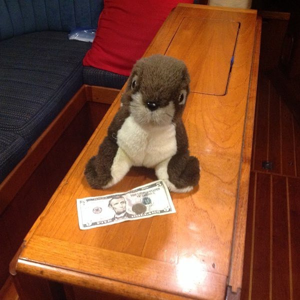 Người đang an toàn nhất thế giới: Lênh đênh trên biển, “cách ly xã hội” suốt 6 tháng nay! ảnh 4