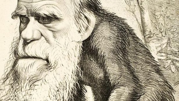 Những đề thi quái dị khiến học sinh ngơ ngác, có đề suýt làm một quán cà phê sập tiệm ảnh 2