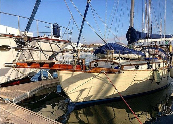 Virus? Virus nào? Cặp đôi không biết gì về đại dịch vì “không muốn nhận tin xấu“ ảnh 3