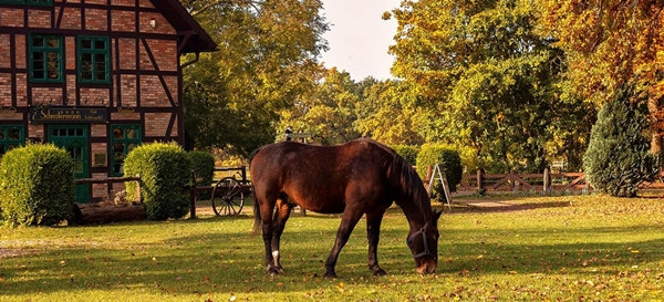 Đừng bao giờ để bất kỳ ai lấy đi giấc mơ của bạn ảnh 1