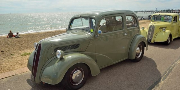 Ở nhà làm vườn trong lúc cách ly, bỗng đào được một thứ bí ẩn ảnh 3