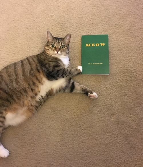 Đặt mua sách qua mạng, đến khi nhận được tại sao người này lại hối hận ngay lập tức? ảnh 5