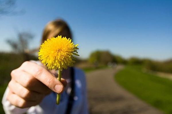 Ba chiếc chìa khóa mà bạn cần sử dụng mỗi ngày để thành công và hạnh phúc ảnh 4