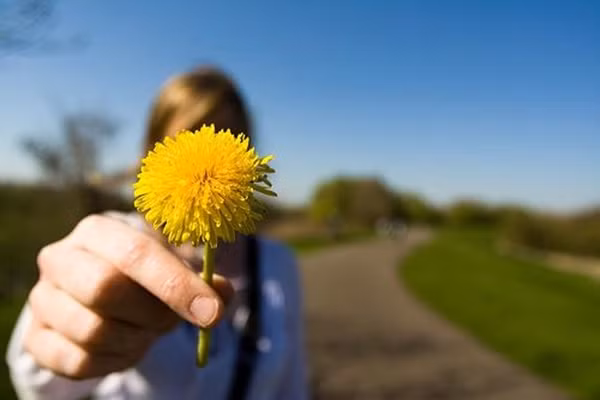 Ba chiếc chìa khóa mà bạn cần sử dụng mỗi ngày để thành công và hạnh phúc ảnh 4