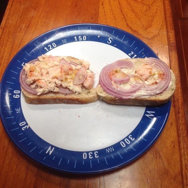 Người đang an toàn nhất thế giới: Lênh đênh trên biển, “cách ly xã hội” suốt 6 tháng nay! ảnh 2