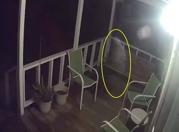 Đang chăm sóc mẹ bị bệnh, con gái nhìn thấy người cha đã qua đời “ghé về thăm nhà” ảnh 3