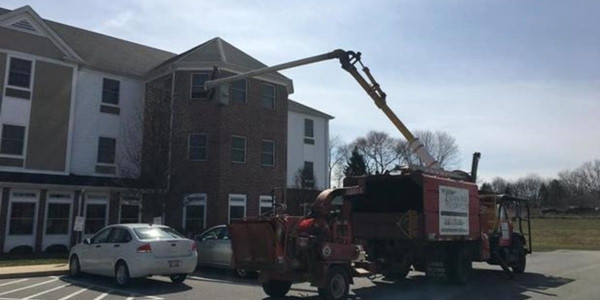 Không thể vào thăm mẹ do lệnh cách ly xã hội, con trai dùng xe cẩu để "gặp" mẹ qua cửa sổ ảnh 2