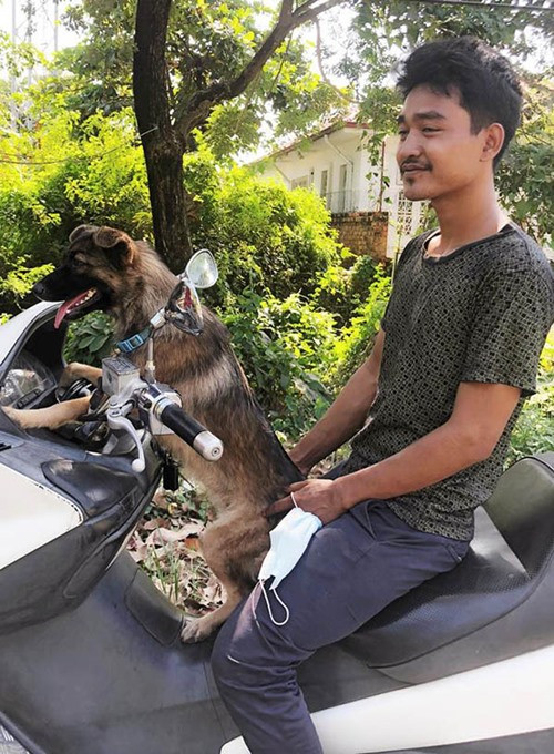 Câu chuyện đã có kết thúc tốt đẹp. Ảnh: Myat MMM. Chú chó đi lạc có cách cực thông minh để chủ tìm thấy mình, chủ cũng không tưởng tượng ra ảnh 3