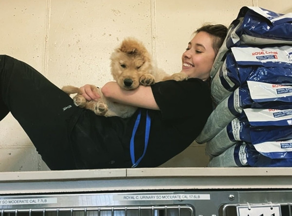 Chú chó một tai trở thành ngôi sao Tik Tok vì trông giống… kỳ lân một sừng! ảnh 4