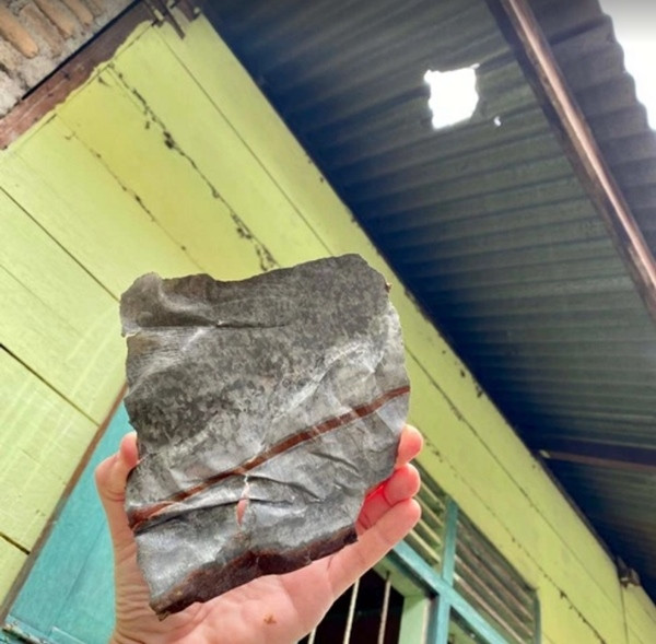 Bỗng trở thành triệu phú USD nhờ “của trời cho”, cái giá phải trả chỉ là hư tí xíu mái nhà ảnh 1