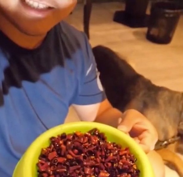 Phẫn nộ clip chú chó chảy nước mắt vì bị chủ ép ăn cả tô ớt để quay mukbang câu “like“ ảnh 3